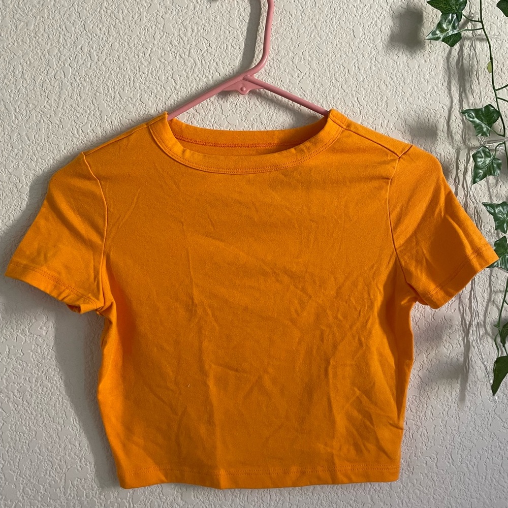Wild Fable Orange crop top
